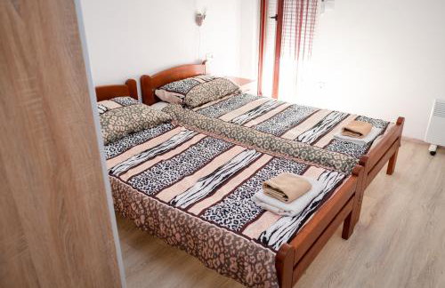 Dalmatian - Photo 35