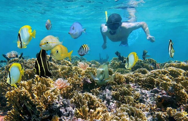 Katamaran-Kreuzfahrt nach Bahia de las Aguilas - Foto 22