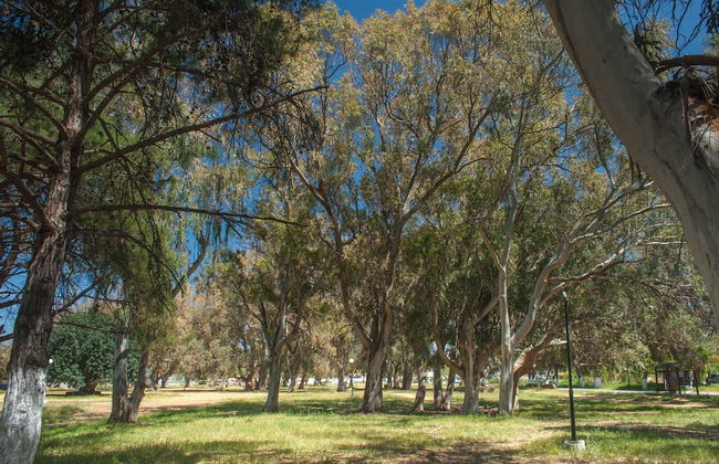 Rainbow Apartments - Foto 33