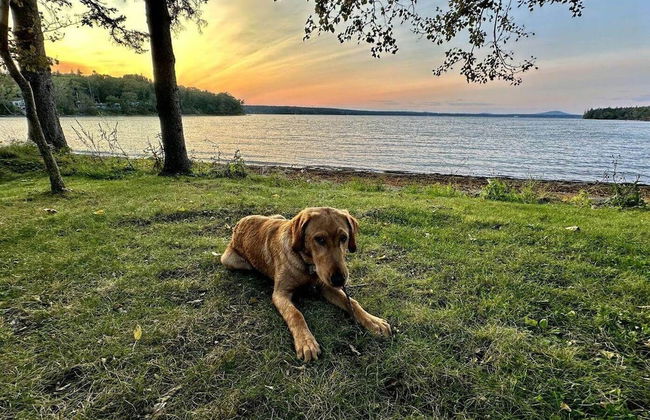 Close Call - Photo 23