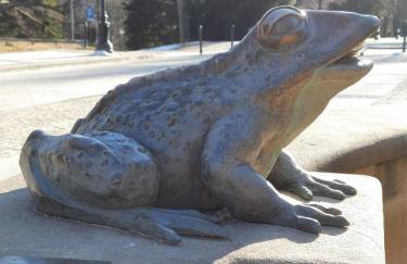 Apartament FeliNa - Foto 30