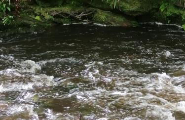 Lakes and Eden Valley. Thornhill Cabin - Foto 52