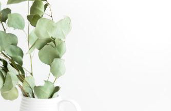 Cheerful Two-Bedroom Residential Home - Foto 5