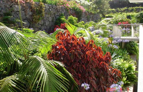 Casa da Capelinha - Foto 158