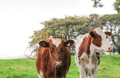 Small Lane Cottage - Foto 47