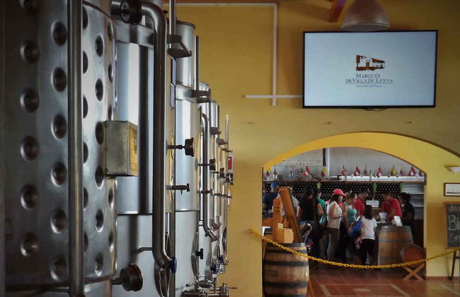 Visit to the Marques Villa de Leyva Vineyard - Foto 7