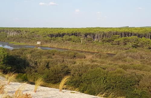 T2, 50m du lac, PISCINE, WIFI, jardin terrasse sans vis-à-vis, 1 à 4 pers - Foto 45