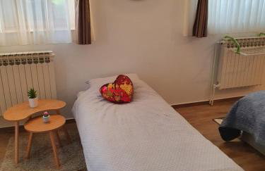 Studio apartmani Toplička bajka - Foto 22