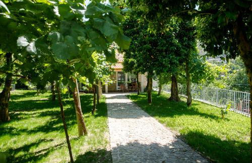 Chalet Villas Gerês - Foto 49