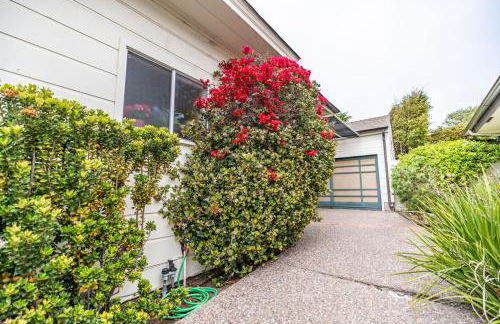 La Jolla Shores Oceanview Retreat - Photo 61