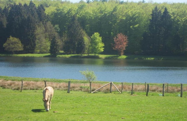 Libramont Stone Garden Haven - Photo 41