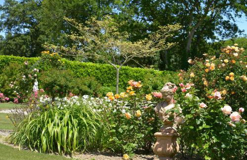 Hostellerie de la Motte jean - Foto 47