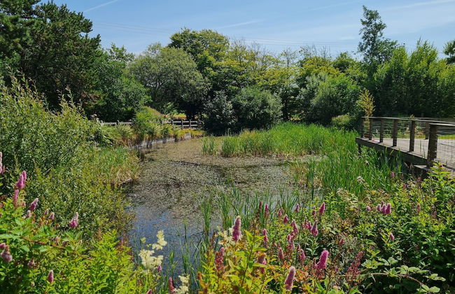 2-bed Cottage, Sleeps 5, Pets Ok, Close to Coast - Foto 21