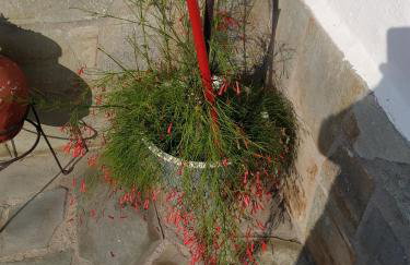 Magdalini Studio - Foto 11