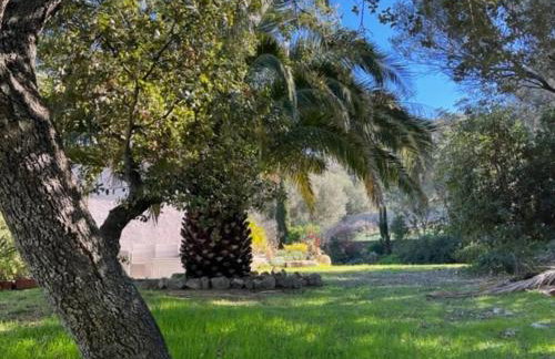Maison Jardin d'Agrumes - Lozari - Foto 1