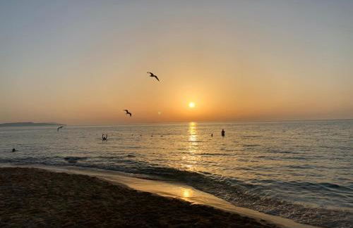 GIARDINO FIORITO 2 WI-FI BICI Free - Foto 13