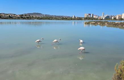 Apartamentos Esmeralda 111 B - Photo 41