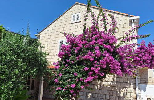 Blue Promenade Apartments - Foto 47