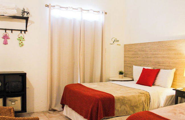 Gladiolas 2202 - Foto 3