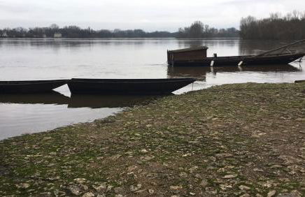 Charming cottage in the Loire Valley castles - Foto 16