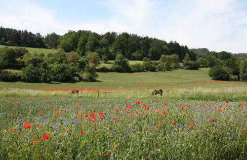 Ferienwohnungen Christine - Foto 58