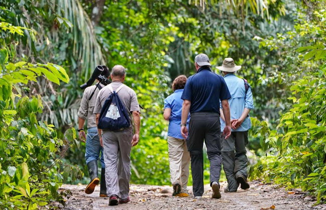 Birdwatching a Castries Waterworks - Foto 7