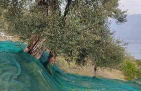 Appartamento Cristol - Foto 42