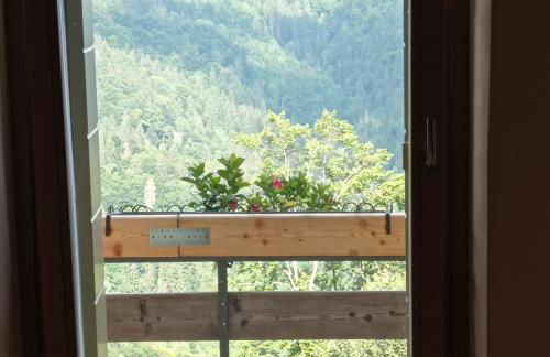 La Casa di Anna nel Parco delle Dolomiti Croce d' Aune 1000 ml slm - Foto 44