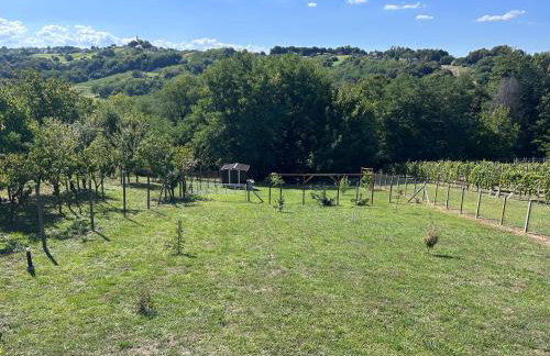 Villa Međimurka - Foto 26