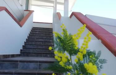 Panoramico, in villa, grande, con ampie terrazze - Foto 19