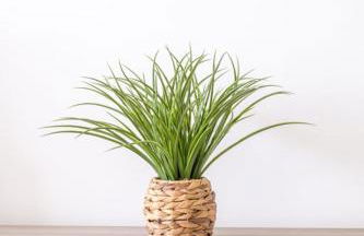 GuestReady - Charming stay with beautiful views - Foto 24