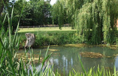 1 Bed in Woodbridge oc-stabu - Foto 14