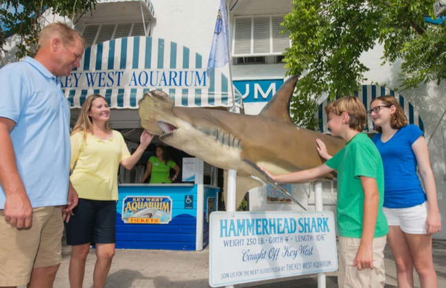 Ingresso do Aquário de Key West - Foto 1