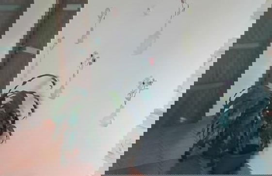 Apartmany Halex 3 - Foto 4