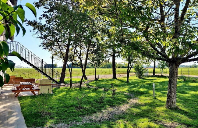 Le Duo Vigne Rouge & Primeur - Foto 37