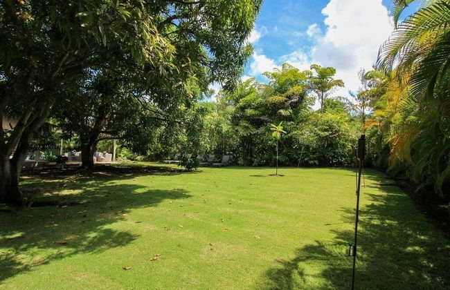 Palm Grove by Bluescape - Foto 41