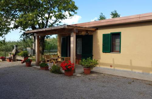 Agriturismo S. Agostino - Foto 10