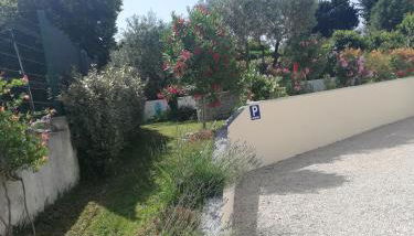 Sophie et Jamiel - Foto 4