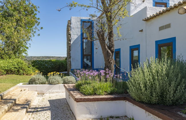 Quinta do Mel - Foto 16