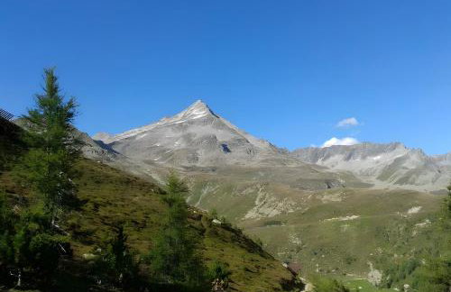 Appartements Obermairhof - Foto 10