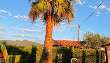 Studios Maria Gini - Foto 3