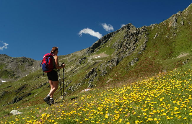 Historical Residence il Biribino 27 People - Foto 65