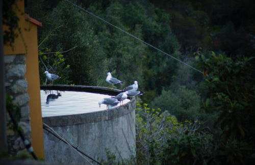 TOTAL SEA VIEW ll Grimaldi Menton - Foto 68