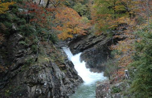 Casas la Ribera Ordesa - Foto 59