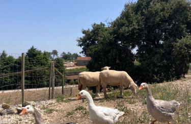 Casas de São José - Foto 2