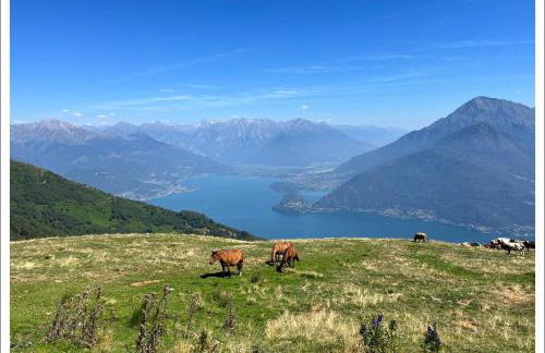 Casa Azalea, vista lago e giardino - Foto 32