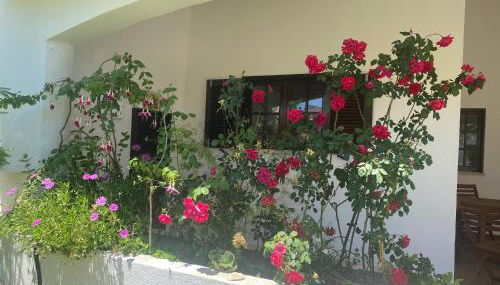 Altura Inn Cottage - Foto 3, Garden