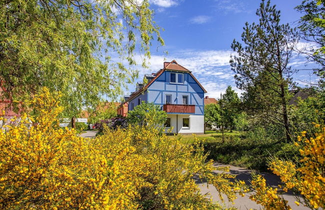 1 bedroom Apartment in Göhren-Lebbin with swimming pool and garden - Photo 35