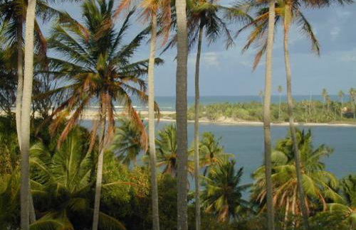 Barravilha Chales - Foto 20