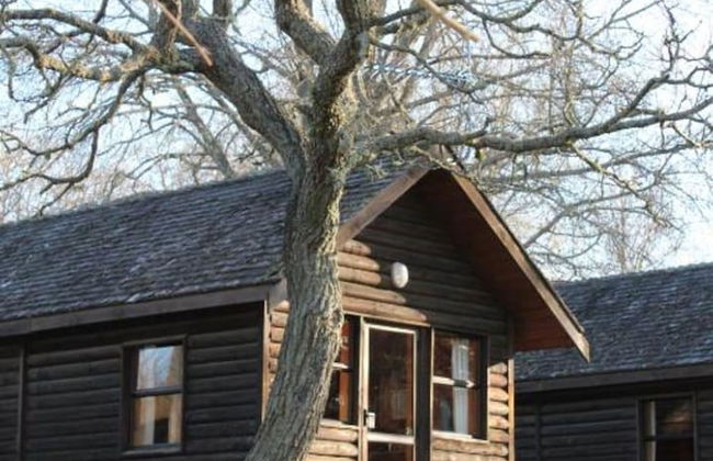 Rotorua Thermal Holiday Park - Photo 7